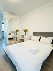 Cozy Deluxe Apartments in Centre of Historical Iasi