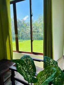 Eco villas unawatuna