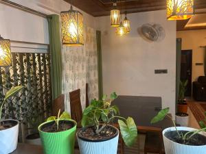 Grand Sapphires Resorts In Vaganon, Idukki &Munnar