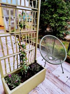 Altea - Lago di Como nuovo accogliente mini appartamento vicino alla spiaggia e giardino