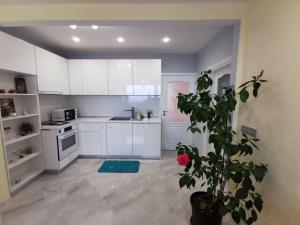 Central City Sea View