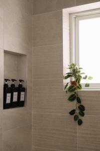 New 3BR Home with Private Yard and Game Room and Parking