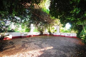 Hortas de Baixo, Luz de Tavira