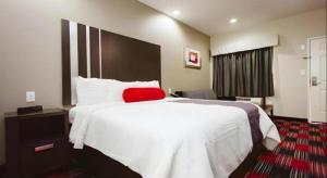 Americas Best Value Inn and Suites IAH Airport North