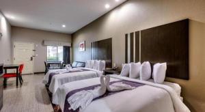 Americas Best Value Inn and Suites IAH Airport North