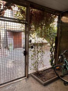 М.Арнаутская 33