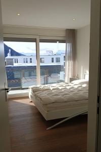 Luxury Penthouse 4 Bedroom 8 Min walk to WEF Davos