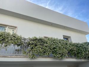 Villa Ada Olbia img23