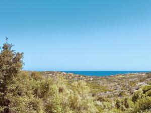 Alba Ruja Residence 1 img2