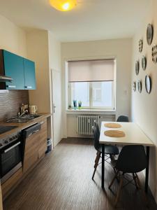 Big and comfortable apartment in the center