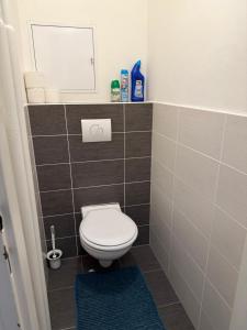 Big and comfortable apartment in the center