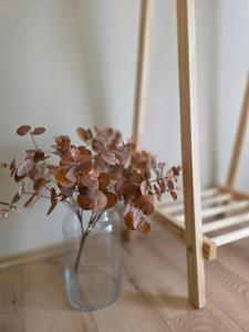 Kata Belvárosi Apartman