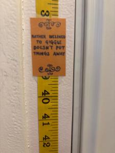 THE ENCHANTED HOUSE ( 15 min walk to Disney)