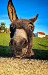 Quinta Madrugada Burgau