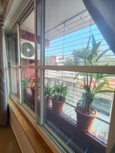 1 bhk apartment ruby residency