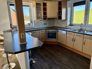 Schöne Wohnung direkt am Elbdeich