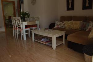 Delfines VII Solo Familias Serviplaya