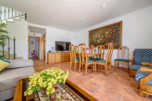 Estrella de mar verde