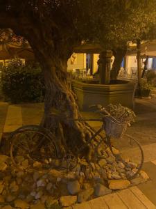 Sa ommiggedda Raggio di sole