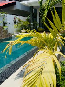 Haven Pearl villas