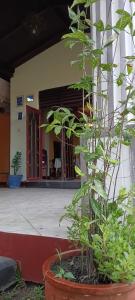 Hansika Guest Inn