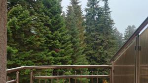 Angel apartment in Borovets