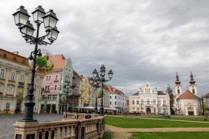 1st Nest in Heart of Timisoara