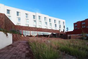 Albor San Miguel de Allende, Tapestry Collection by Hilton