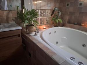 Monoambiente luminoso con Jacuzzi Relax y estilo