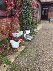 Entire home farm stay