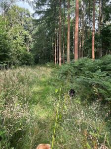 Entire home farm stay