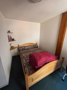 Ski et Rando Logement cosy face au Lac de Fabrèges Artouste