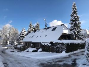Ferienwohnung "Bergfrieden", Hinterzarten