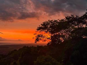 Casa Colibrí Ocean and Jungle Villa, Infinity Pool