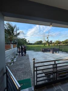 Lemery farmbeach Escape