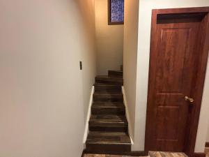 Elegancia Patagonica