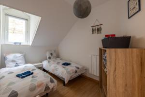 Les petits poissons dans leau