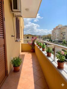 Apartments Vila Cala