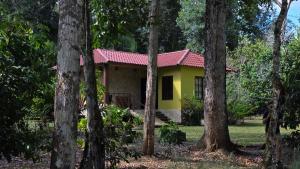 Tu Casa en la Selva Lacandona