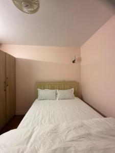 2bhk Apartment Kathamndu Thamel