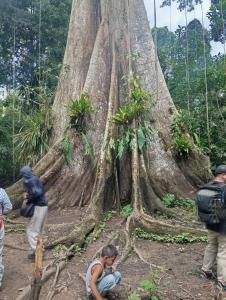 Amazon Macambo Lodge