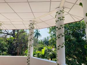Ashi Hostel Sigiriya