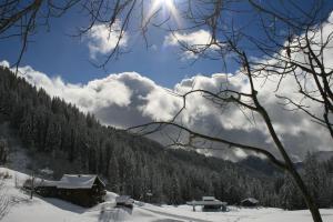 Lodges La Chanterelle - Mountain Lodge : Chambre Familiale Deluxe