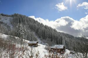 Lodges La Chanterelle - Mountain Lodge : photos des chambres