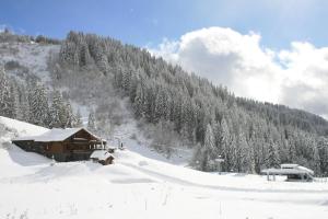 Lodges La Chanterelle - Mountain Lodge : photos des chambres