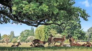 Cosy Studio in Hampton Hill short Walk to Bushy Park with Free Parking and WiFi and Pets welcome