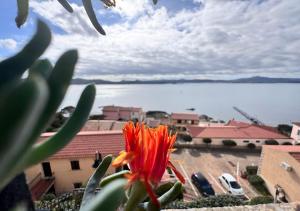 Murphy Holiday Homes - Blue Weber img22