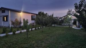 cabana langa lac Dacha Dream