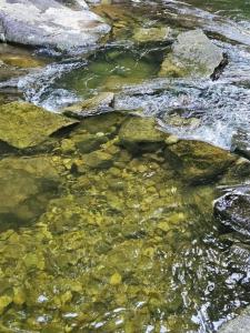 Casa confortável na Serra de Casimiro de Abreu, Poço do Pai João -14 km do Sana
