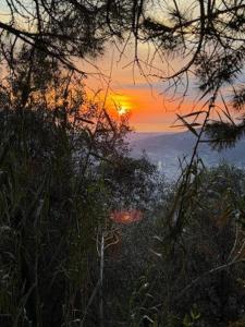 Infinity house colline Camaiore